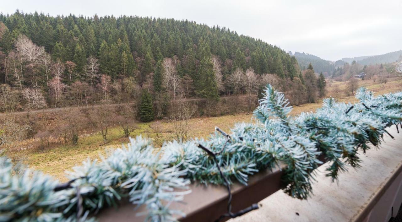 Waldloft Winterberg Apartment Luaran gambar